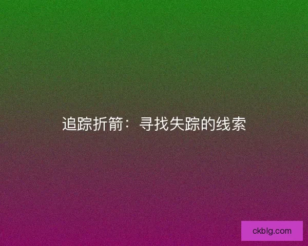 追踪折箭：寻找失踪的线索